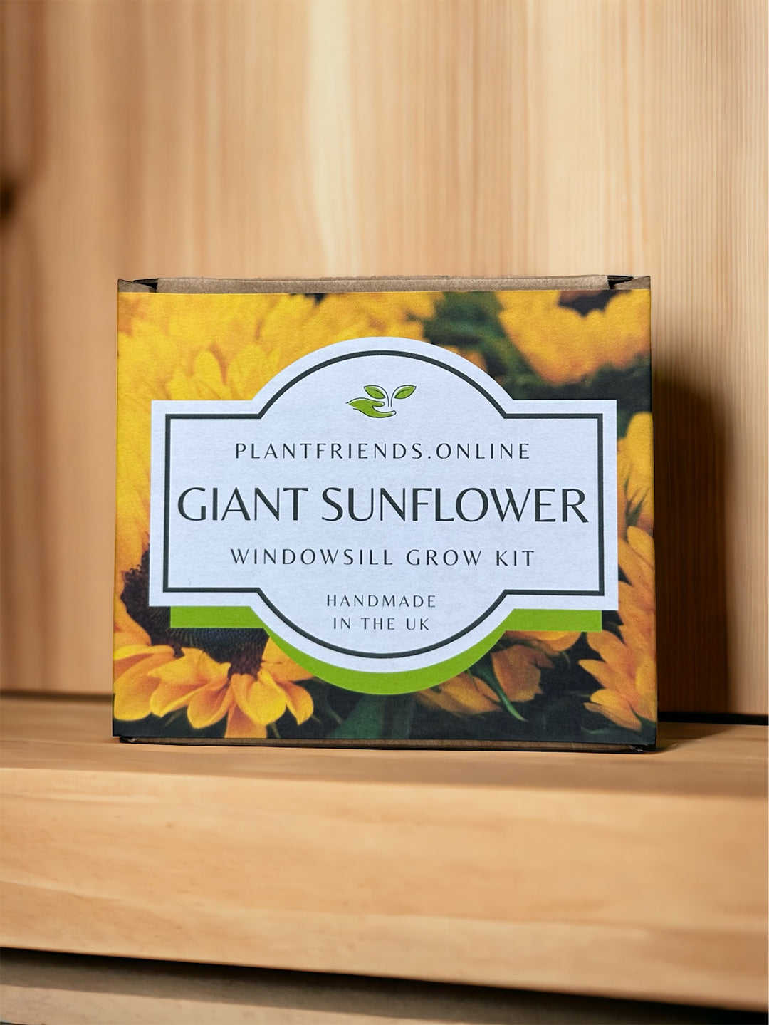 Windowsill Seed Starter Kit - Sunflower